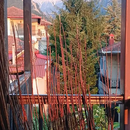 Olympian Sunrise Balcony דירה ליטוחורון