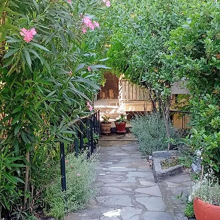 Olympian Sunrise Balcony דירה